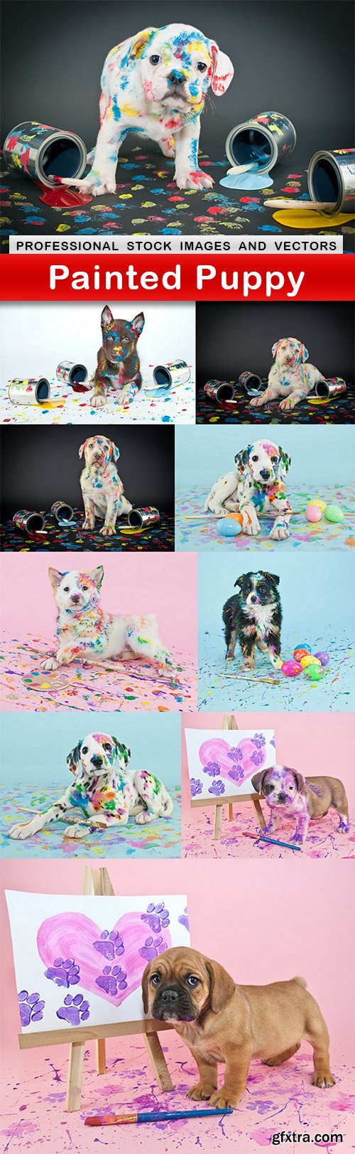 Painted Puppy - 10 UHQ JPEG