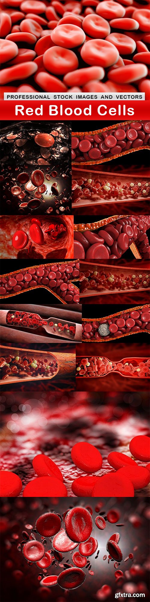 Red Blood Cells - 15 UHQ JPEG