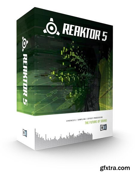 Native Instruments Reaktor 5 v5.9.4 Update WiN