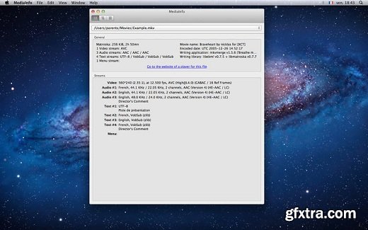 MediaInfo 0.7.80 Multilingual (Mac OS X)
