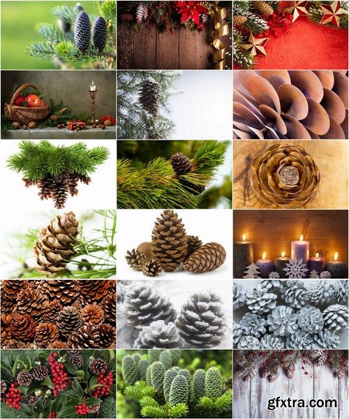 Collection of Christmas pine fir-cone Christmas illustration 25 HQ Jpeg