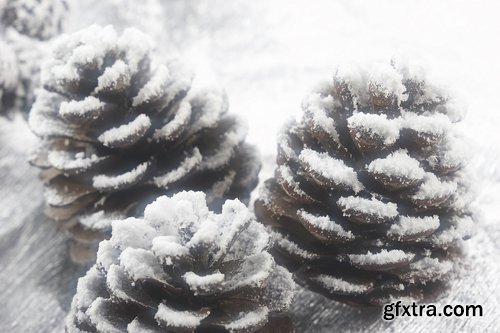 Collection of Christmas pine fir-cone Christmas illustration 25 HQ Jpeg