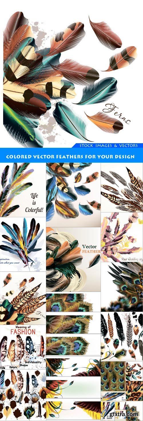 Colored vector feathers for your design  18X EPS