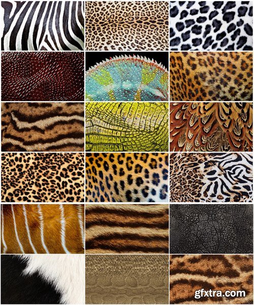 Collection of background is different a beast fur leather wool 25 HQ Jpeg