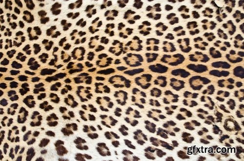 Collection of background is different a beast fur leather wool 25 HQ Jpeg