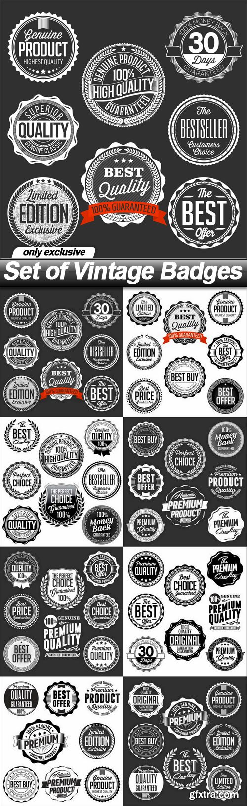 Set of Vintage Badges - 8 EPS