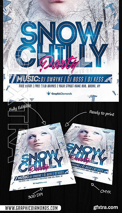 CM - Snow Chilly Party Flyer 475945