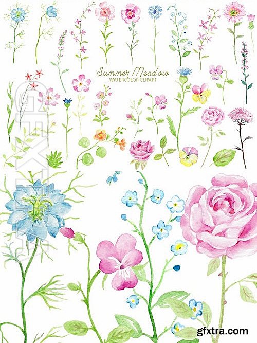 CM - Watercolor Clipart Summer Meadow 477913