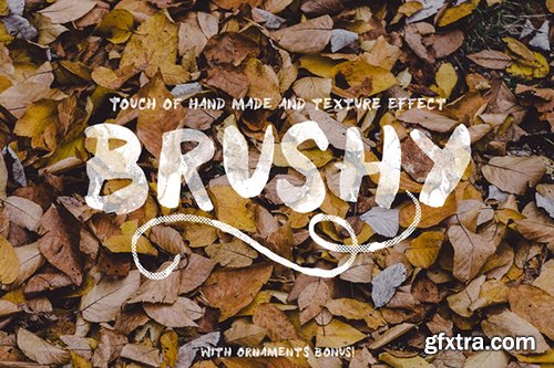 CreativeMarket Brushy Typeface (plus bonus) 477968