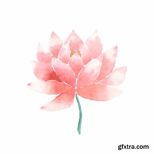 Collection of vector image lotus flower meditation a background flyer banner 25 EPS