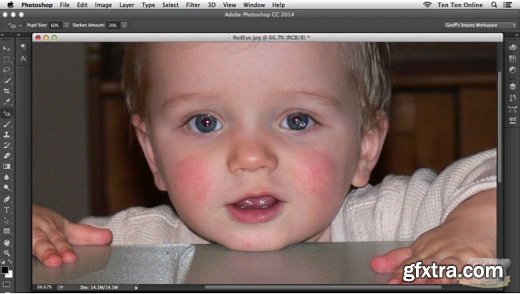 Getting Started with Photoshop CC (HD Videos)