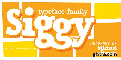 Siggy Typeface Family Fonts - 4 Fonts $80