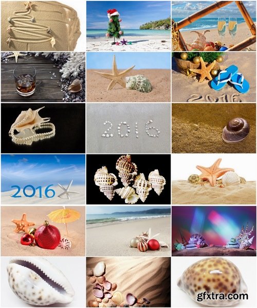 Collection seashell decoration new year Christmas a background nature landscape in 2016 25 HQ Jpeg