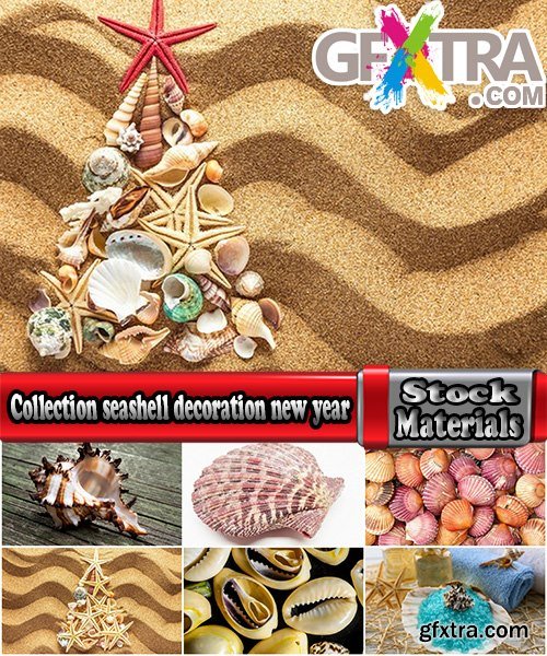 Collection seashell decoration new year Christmas a background nature landscape in 2016 25 HQ Jpeg