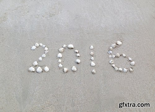 Collection seashell decoration new year Christmas a background nature landscape in 2016 25 HQ Jpeg