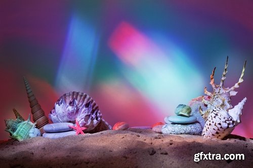 Collection seashell decoration new year Christmas a background nature landscape in 2016 25 HQ Jpeg