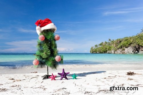 Collection seashell decoration new year Christmas a background nature landscape in 2016 25 HQ Jpeg