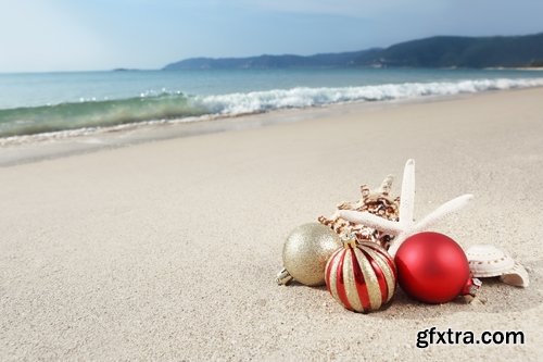 Collection seashell decoration new year Christmas a background nature landscape in 2016 25 HQ Jpeg