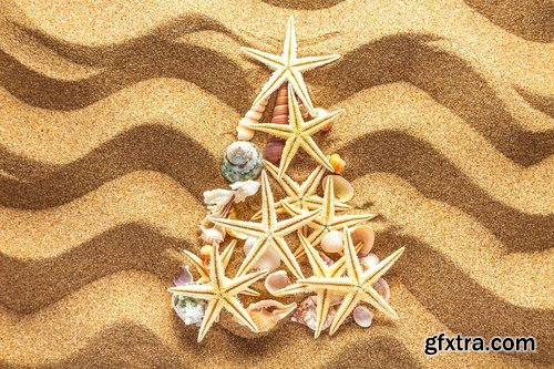 Collection seashell decoration new year Christmas a background nature landscape in 2016 25 HQ Jpeg