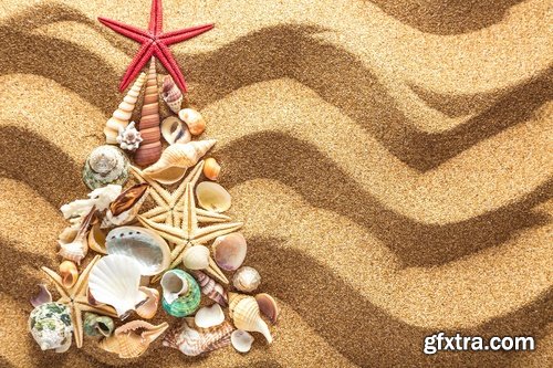 Collection seashell decoration new year Christmas a background nature landscape in 2016 25 HQ Jpeg