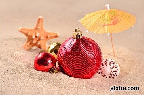 Collection seashell decoration new year Christmas a background nature landscape in 2016 25 HQ Jpeg