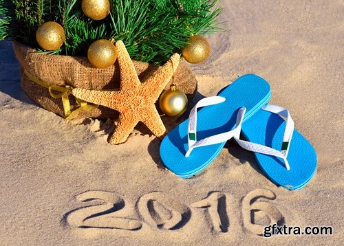 Collection seashell decoration new year Christmas a background nature landscape in 2016 25 HQ Jpeg