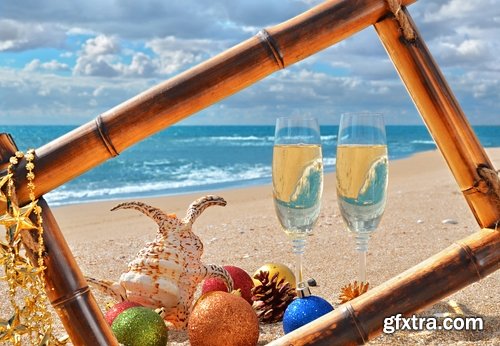 Collection seashell decoration new year Christmas a background nature landscape in 2016 25 HQ Jpeg