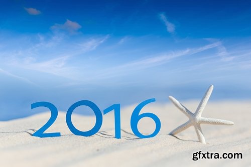 Collection seashell decoration new year Christmas a background nature landscape in 2016 25 HQ Jpeg