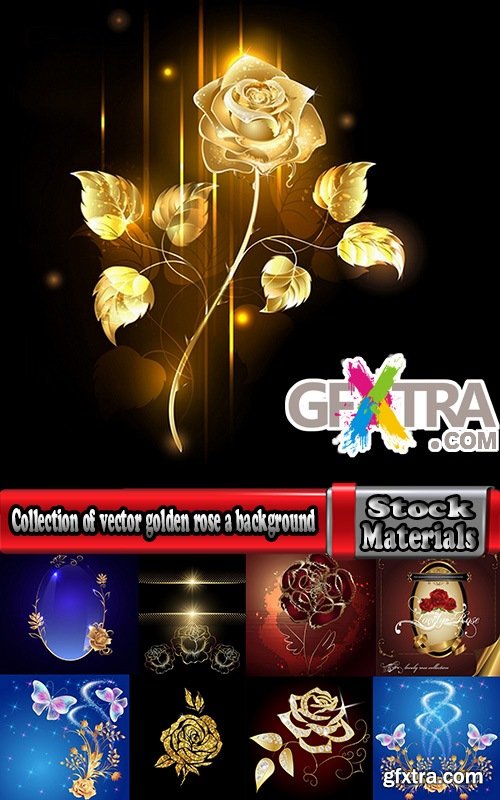 Collection of vector golden rose a background picture flyer banner 25 EPS