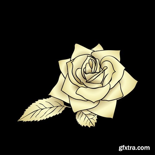 Collection of vector golden rose a background picture flyer banner 25 EPS