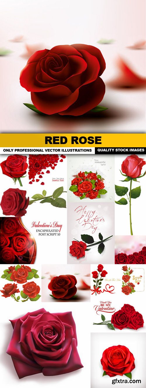 Red Rose - 15 Vector