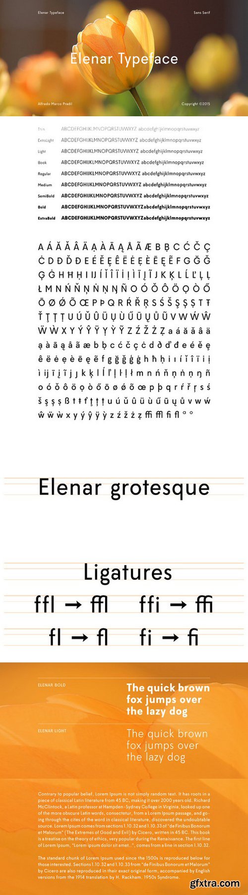 CM - Elenar Typeface 480792