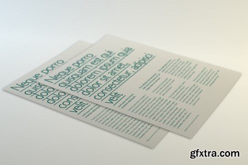 CM - Multipurpose Letter Flyer Mockup 16824