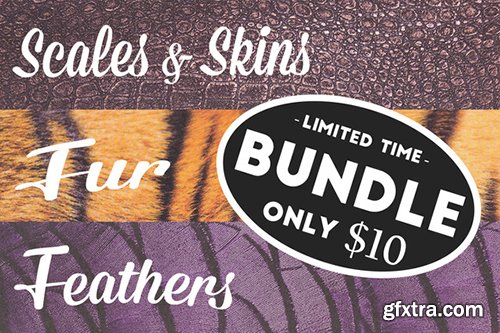 CreativeMarket Fur, Feathers, Scales & Skins Bundle 482354