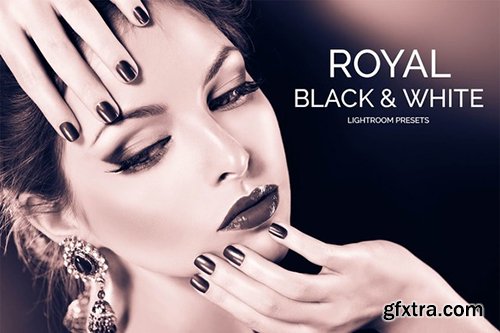 CreativeMarket Royal Black&White Lightroom Presets 482165