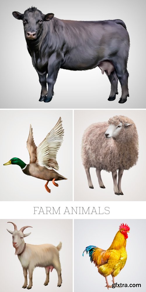 Amazing SS - Farm Animals, 21xEPS