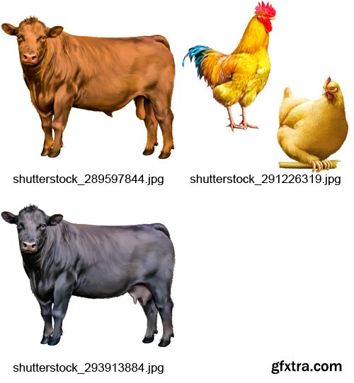 Amazing SS - Farm Animals, 21xEPS