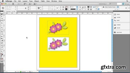 Illustrator Insider Training: Seeing Through Transparency