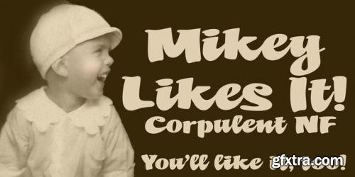 Mikey Likes It Corpulent NF Font