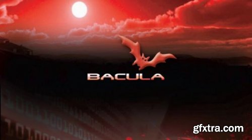 Bacula 1: the open source backup software