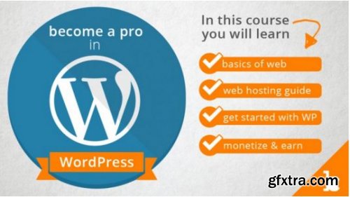 The Perfect Guide to become a Pro in WordPress