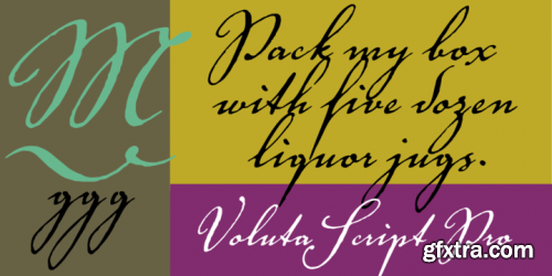 Voluta Script Pro Font