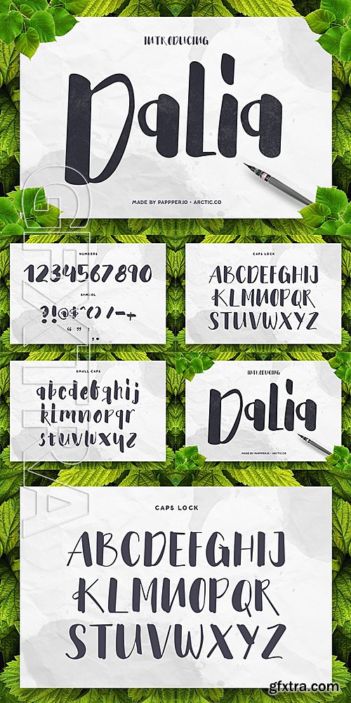 CM - Dalia Font 484284