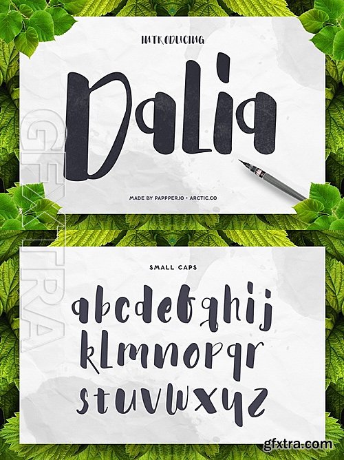 CM - Dalia Font 484284