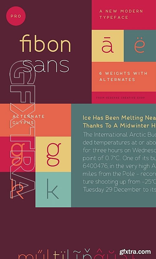 CM - Fibon Sans Font Family 484630