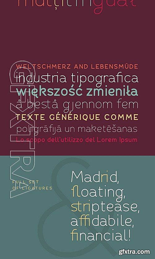 CM - Fibon Sans Font Family 484630