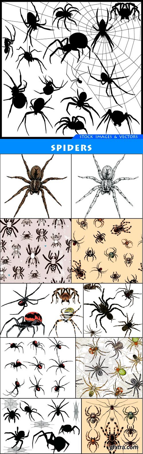 spiders 11X JPEG