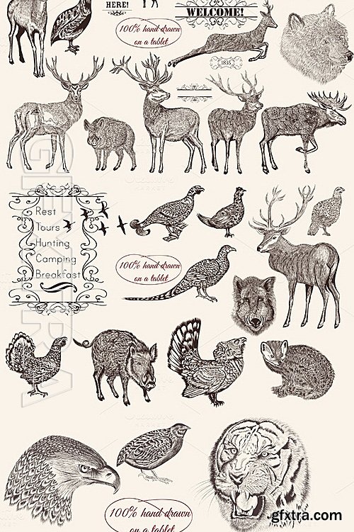 CM - Bundle From Vector Engraved Animals 486410