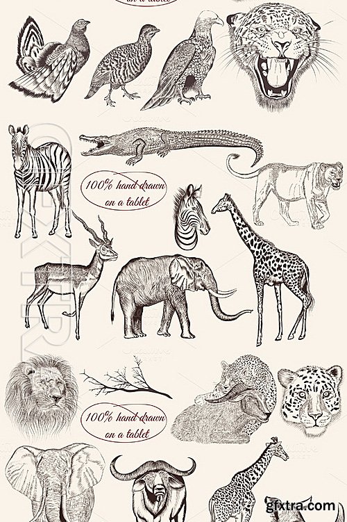 CM - Bundle From Vector Engraved Animals 486410