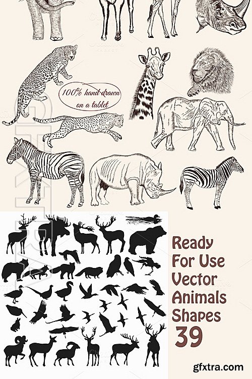 CM - Bundle From Vector Engraved Animals 486410